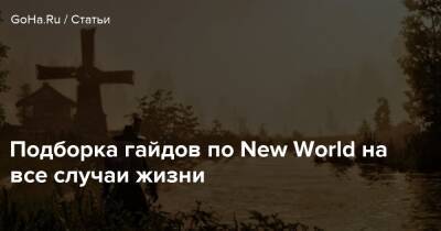 Подборка гайдов по New World на все случаи жизни - goha.ru