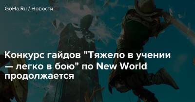 Конкурс гайдов "Тяжело в учении — легко в бою" по New World продолжается - goha.ru