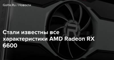 Стали известны все характеристики AMD Radeon RX 6600 - goha.ru