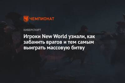 Игроки New World узнали, как забанить врагов и тем самым выиграть массовую битву - championat.com