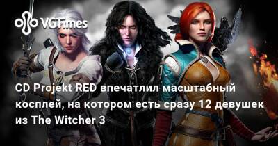 CD Projekt RED впечатлил масштабный косплей, на котором есть сразу 12 девушек из The Witcher 3 - vgtimes.ru