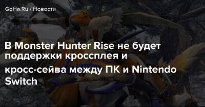 В Monster Hunter Rise не будет поддержки кроссплея и кросс-сейва между ПК и Nintendo Switch - goha.ru