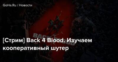 [Стрим] Back 4 Blood. Изучаем кооперативный шутер - goha.ru