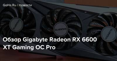 Обзор Gigabyte Radeon RX 6600 XT Gaming OC Pro - goha.ru