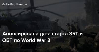 Анонсирована дата старта ЗБТ и ОБТ по World War 3 - goha.ru