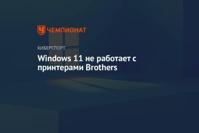 Windows 11 не работает с принтерами Brothers - championat.com