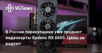 В России перекупщики уже продают видеокарты Radeon RX 6600. Цены не радуют - vgtimes.ru - Россия