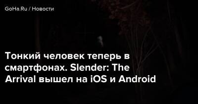 Тонкий человек теперь в смартфонах. Slender: The Arrival вышел на iOS и Android - goha.ru