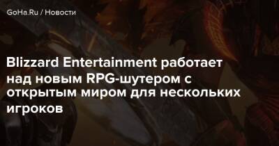 Blizzard Entertainment работает над новым RPG-шутером с открытым миром для нескольких игроков - goha.ru