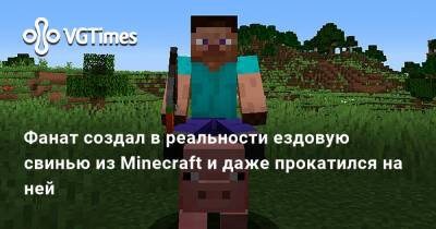 Фанат создал в реальности ездовую свинью из Minecraft и даже прокатился на ней - vgtimes.ru