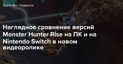 Наглядное сравнение версий Monster Hunter Rise на ПК и на Nintendo Switch в новом видеоролике - goha.ru