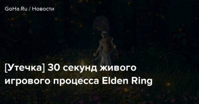 Джордж Мартин - [Утечка] 30 секунд живого игрового процесса Elden Ring - goha.ru