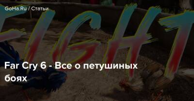 Far Cry 6 - Все о петушиных боях - goha.ru