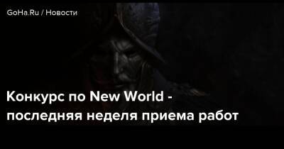 Конкурс по New World - последняя неделя приема работ - goha.ru