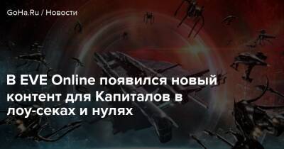 В EVE Online появился новый контент для Капиталов в лоу-секах и нулях - goha.ru