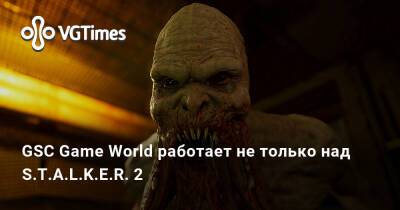 Евгений Григорович - GSC Game World работает не только над S.T.A.L.K.E.R. 2 - vgtimes.ru