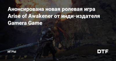 Анонсирована новая ролевая игра Arise of Awakener от инди-издателя Gamera Game — Игры на DTF - dtf.ru - Tokyo