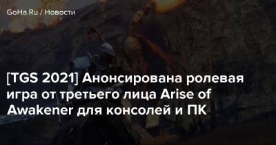 [TGS 2021] Анонсирована ролевая игра от третьего лица Arise of Awakener для консолей и ПК - goha.ru