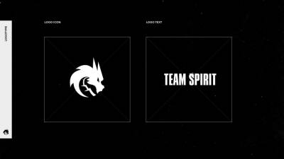 Team Spirit по Dota 2 добавили в зал славы игры - cybersport.metaratings.ru