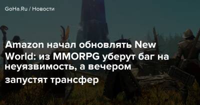 Amazon начал обновлять New World: из MMORPG уберут баг на неуязвимость, а вечером запустят трансфер - goha.ru
