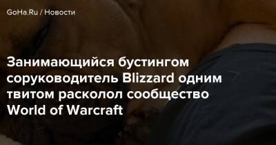 Майк Ибарра - Занимающийся бустингом соруководитель Blizzard одним твитом расколол сообщество World of Warcraft - goha.ru