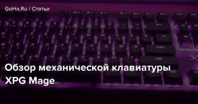 Обзор механической клавиатуры XPG Mage - goha.ru
