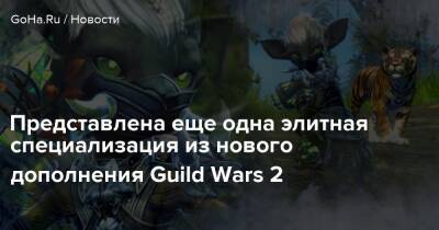 Представлена еще одна элитная специализация из нового дополнения Guild Wars 2 - goha.ru