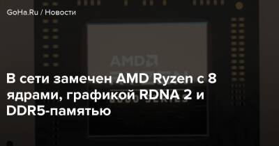 В сети замечен AMD Ryzen с 8 ядрами, графикой RDNA 2 и DDR5-памятью - goha.ru