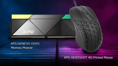 Мышь XPG HEADSHOT и ОЗУ XPG GENESIS DDR5 получили награду Good Design - cubiq.ru