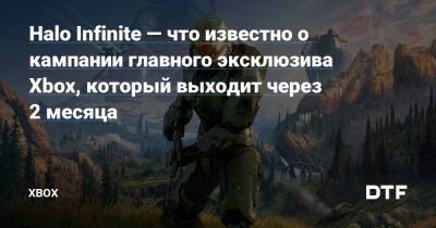 Halo Infinite — что известно о кампании главного эксклюзива Xbox, который выходит через 2 месяца — Фанатское сообщество Xbox на DTF - dtf.ru