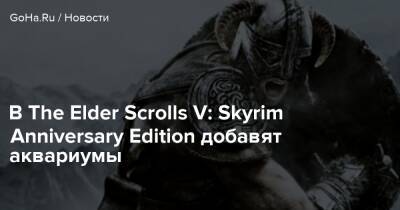 В The Elder Scrolls V: Skyrim Anniversary Edition добавят аквариумы - goha.ru