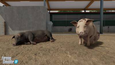 Авторы Farming Simulator 22 рассказали о животных и животноводстве - igromania.ru