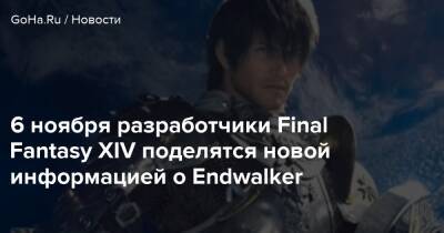 6 ноября разработчики Final Fantasy XIV поделятся новой информацией о Endwalker - goha.ru