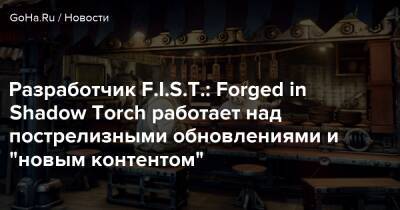 Разработчик F.I.S.T.: Forged in Shadow Torch работает над пострелизными обновлениями и "новым контентом" - goha.ru