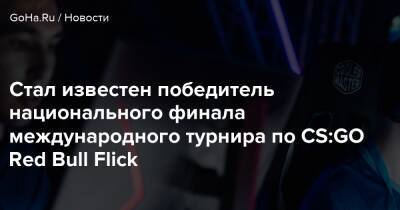 Стал известен победитель национального финала международного турнира по CS:GO Red Bull Flick - goha.ru - Санкт-Петербург
