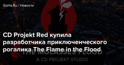 Адам Кичиньский - Drake Hollow - CD Projekt Red купила разработчика приключенческого рогалика The Flame in the Flood - goha.ru - Бостон - Польша