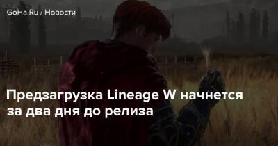 Предзагрузка Lineage W начнется за два дня до релиза - goha.ru