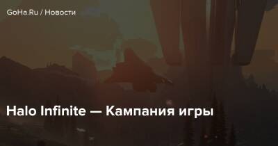 Halo Infinite — Кампания игры - goha.ru