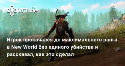 Игрок прокачался до максимального ранга в New World без единого убийства и рассказал, как это сделал - vgtimes.ru