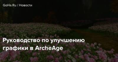 Руководство по улучшению графики в ArcheAge - goha.ru