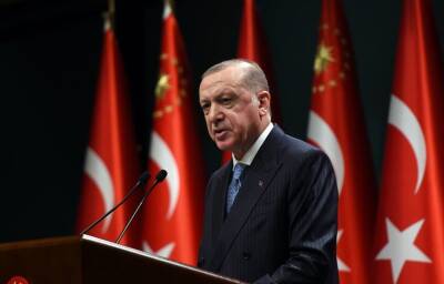 Ураган Эрдоган: почему в Турции решили не выдворять послов 10 стран - news.ru - Сша - Канада - Турция