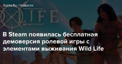 В Steam появилась бесплатная демоверсия ролевой игры с элементами выживания Wild Life - goha.ru