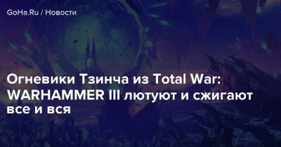 Огневики Тзинча из Total War: WARHAMMER III лютуют и сжигают все и вся - goha.ru