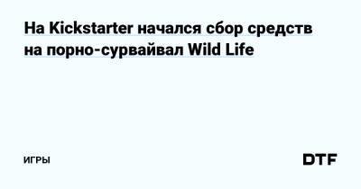 На Kickstarter начался сбор средств на порно-сурвайвал Wild Life — Игры на DTF - dtf.ru