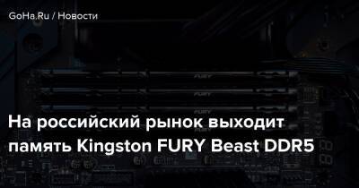 На российский рынок выходит память Kingston FURY Beast DDR5 - goha.ru - Kingston
