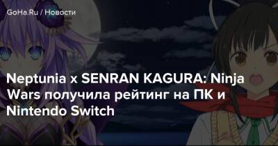 Neptunia x SENRAN KAGURA: Ninja Wars получила рейтинг на ПК и Nintendo Switch - goha.ru