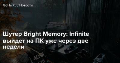 Шутер Bright Memory: Infinite выйдет на ПК уже через две недели - goha.ru