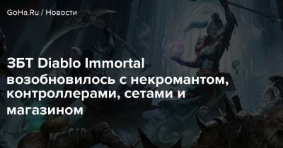 ЗБТ Diablo Immortal возобновилось с некромантом, контроллерами, сетами и магазином - goha.ru - Китай - Австралия - Корея - Япония - Канада
