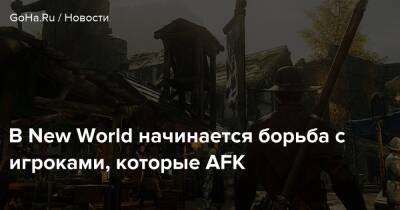 В New World начинается борьба с игроками, которые AFK - goha.ru