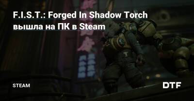 F.I.S.T.: Forged In Shadow Torch вышла на ПК в Steam — Сообщество Steam на DTF на DTF - dtf.ru
